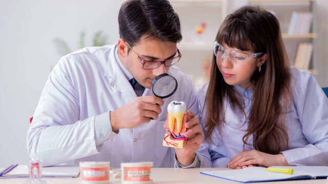 dentistas evaluando modelo de un diente con caries